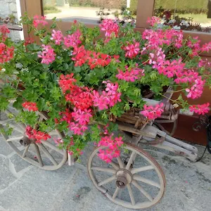 Del Contadino Sondrio